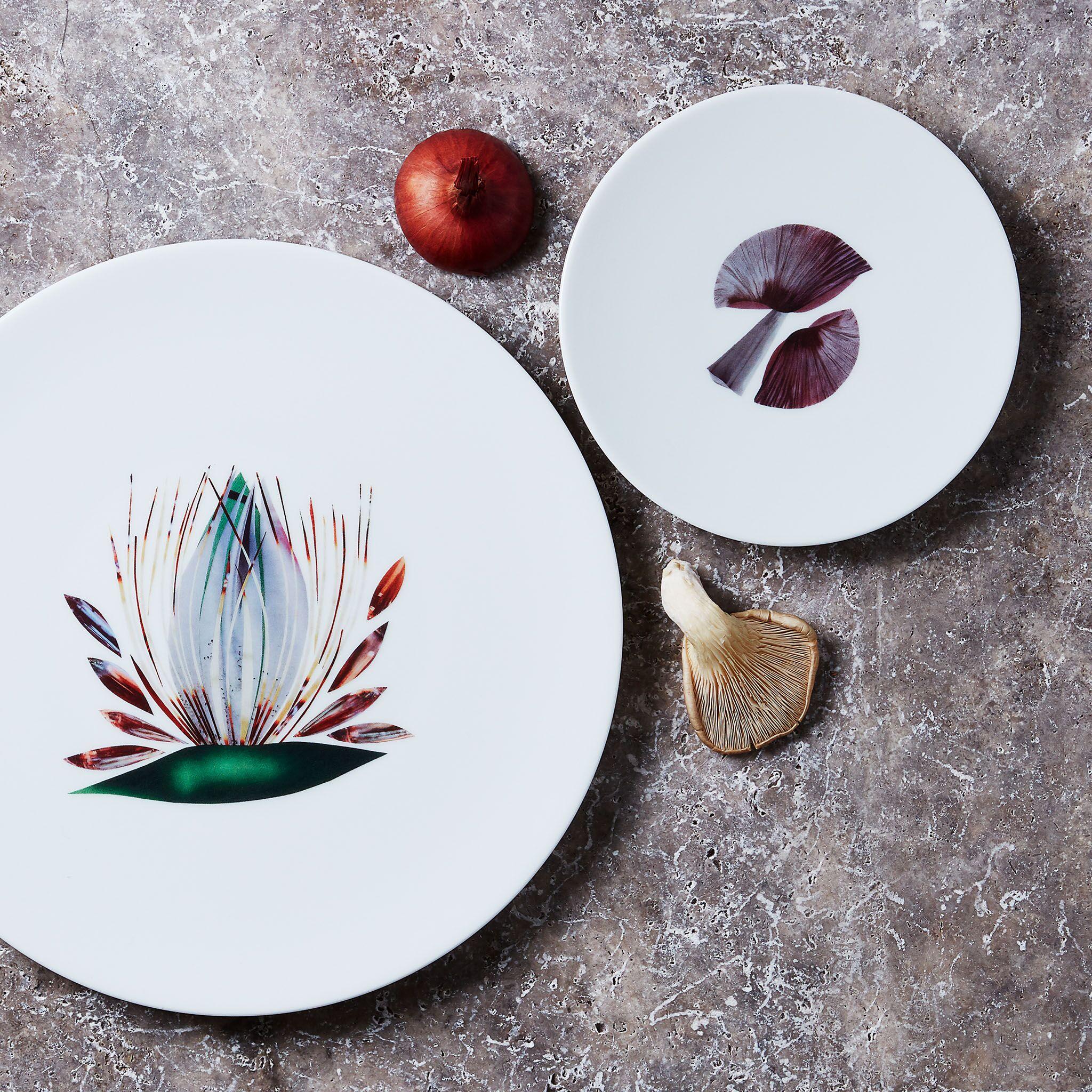 Contemporary Dinner Porcelain Plate by the French Chef Alain Passard Model 