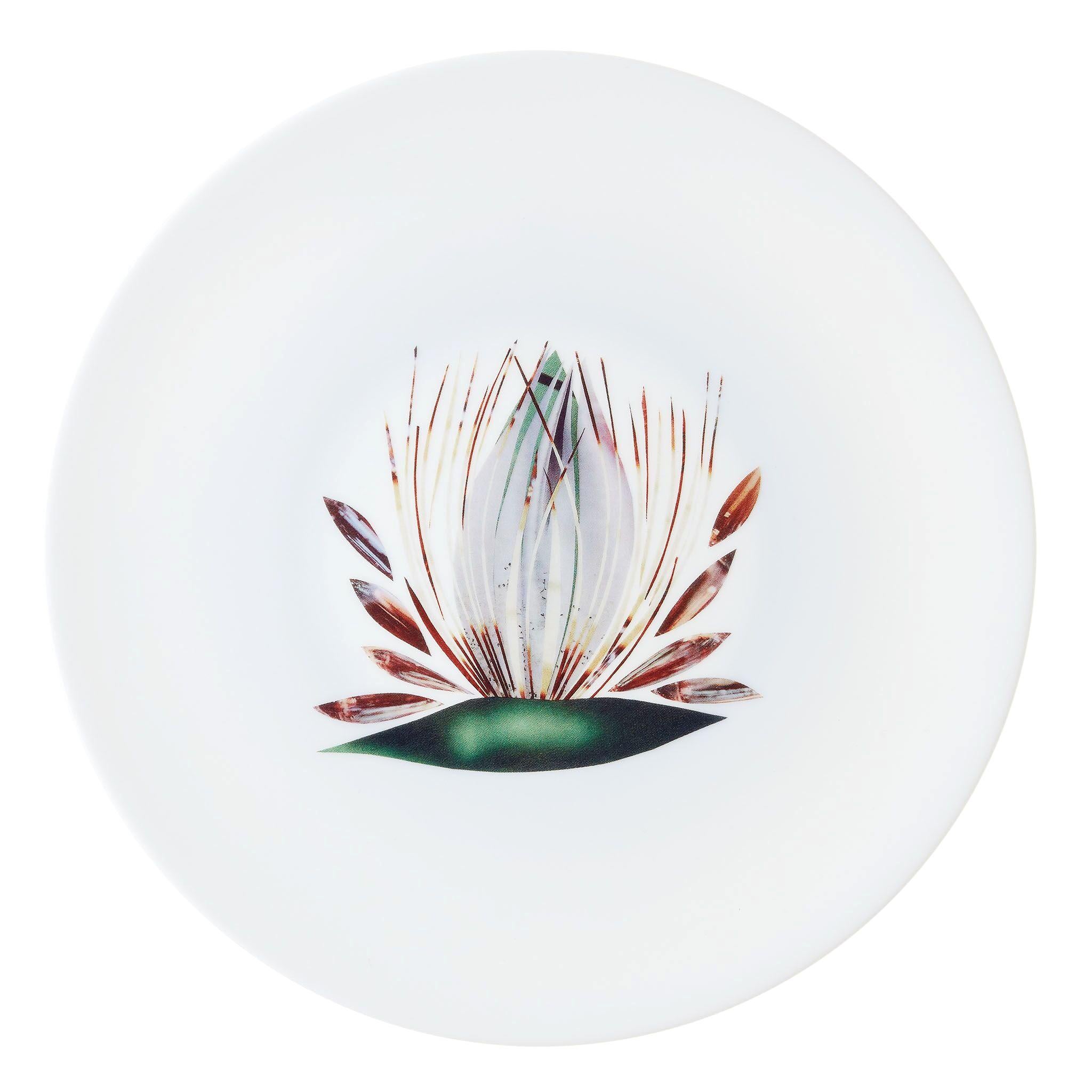 Dinner Porcelain Plate by the French Chef Alain Passard Model " Endive"