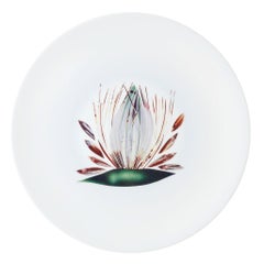 Dinner Porcelain Plate by the French Chef Alain Passard Model " Endive"