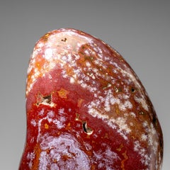 Large Polished Ocean Jasper Freeform from Madagascar (43.5 lbs)