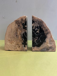 Large Polished Petrified Wood Bookends