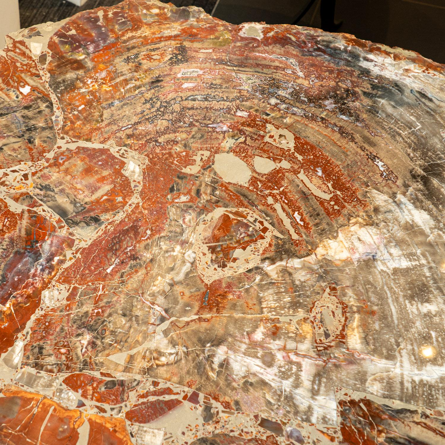 Enhance your home or give a meaningful gift with our Large Polished Petrified Wood Table Top. Crafted with top-quality, handmade natural petrified wood, this versatile table can serve as a guest, coffee, center, or side table, and can also be