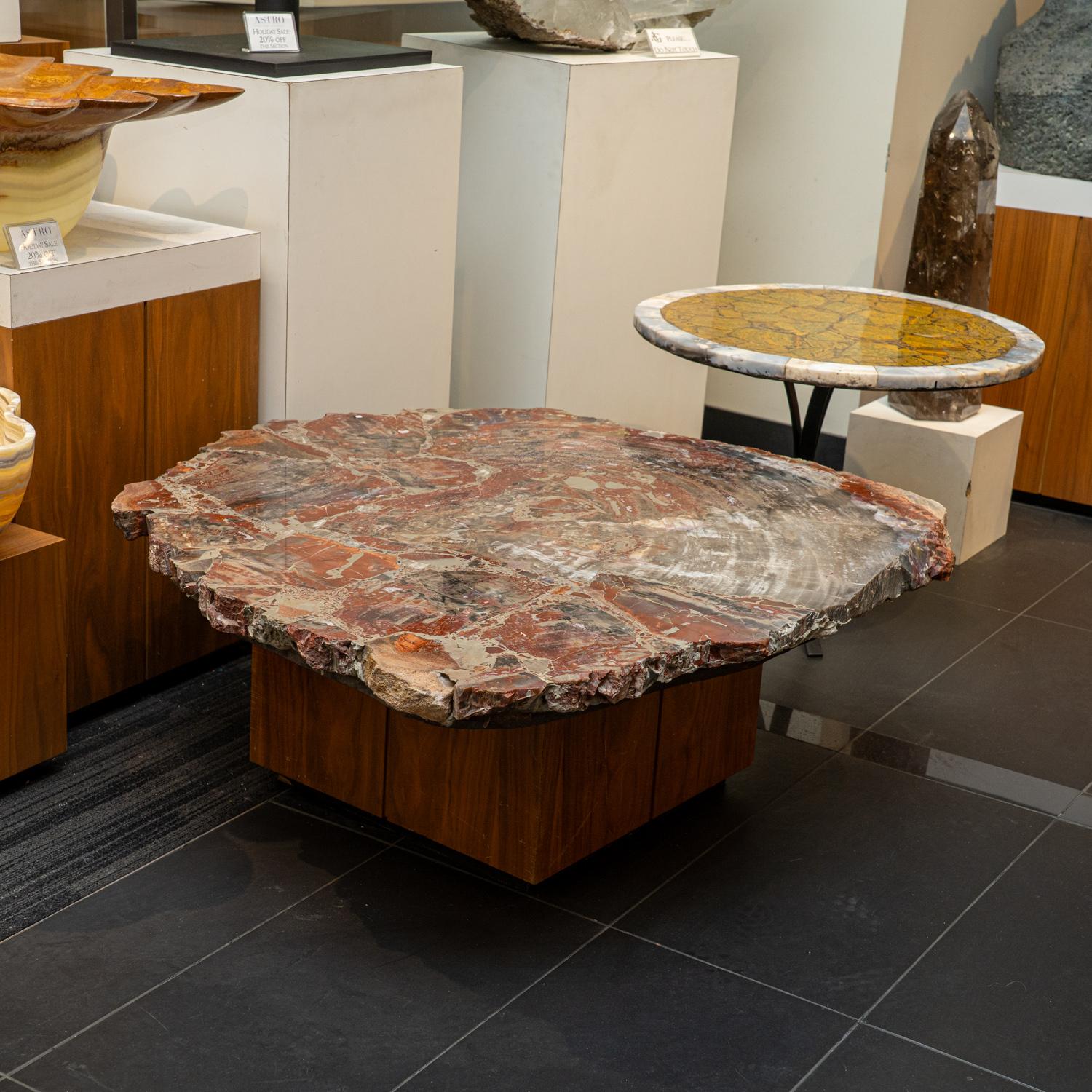 Malagasy Large Polished Petrified Wood Table Top For Sale
