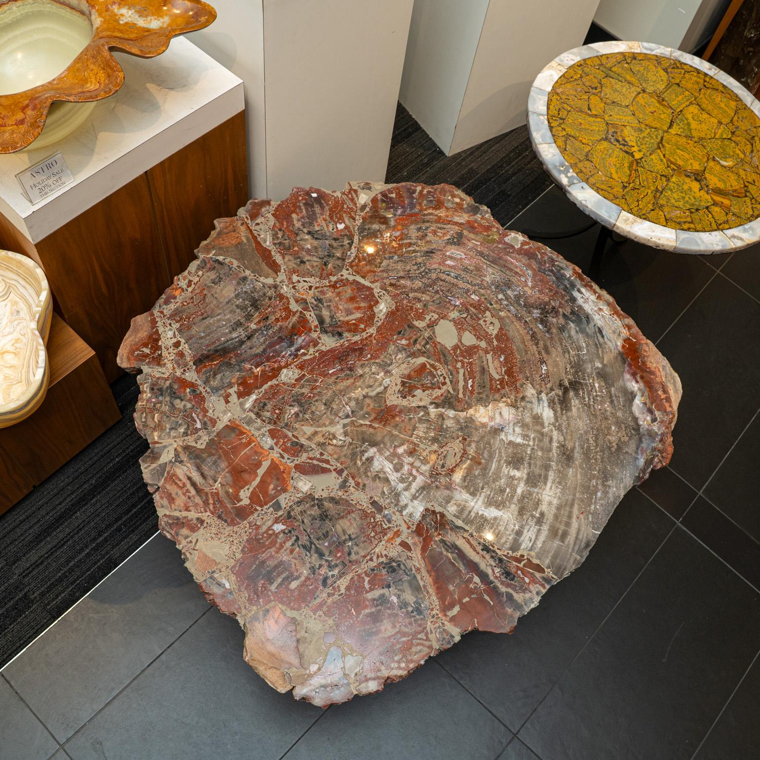 Large Polished Petrified Wood Table Top In New Condition For Sale In New York, NY