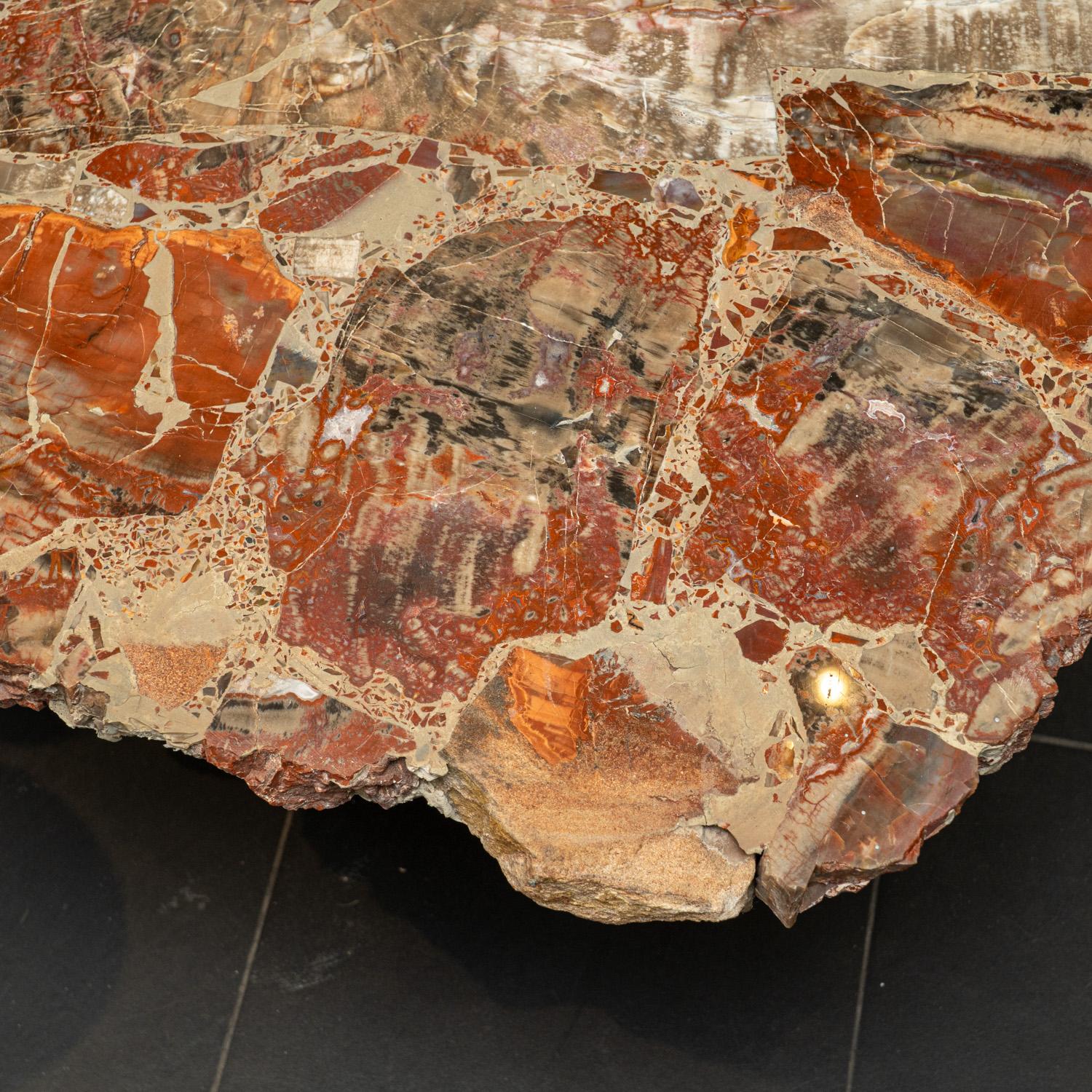 Contemporary Large Polished Petrified Wood Table Top For Sale