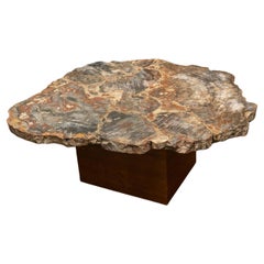 Large Polished Petrified Wood Table Top