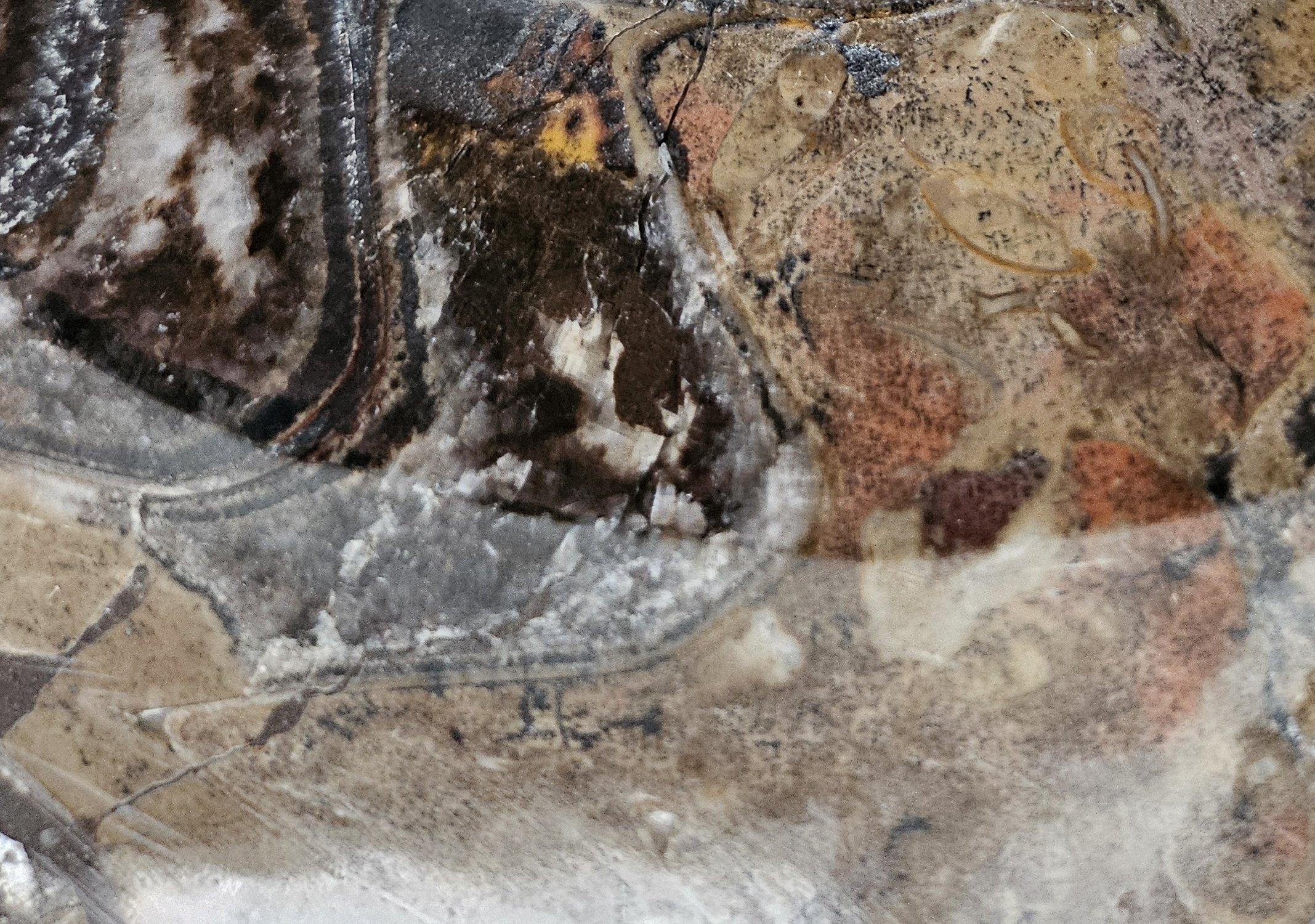 Grand spécimen d'exposition d'ammonite préhistorique poli pour les collectionneurs de fossiles en vente 1