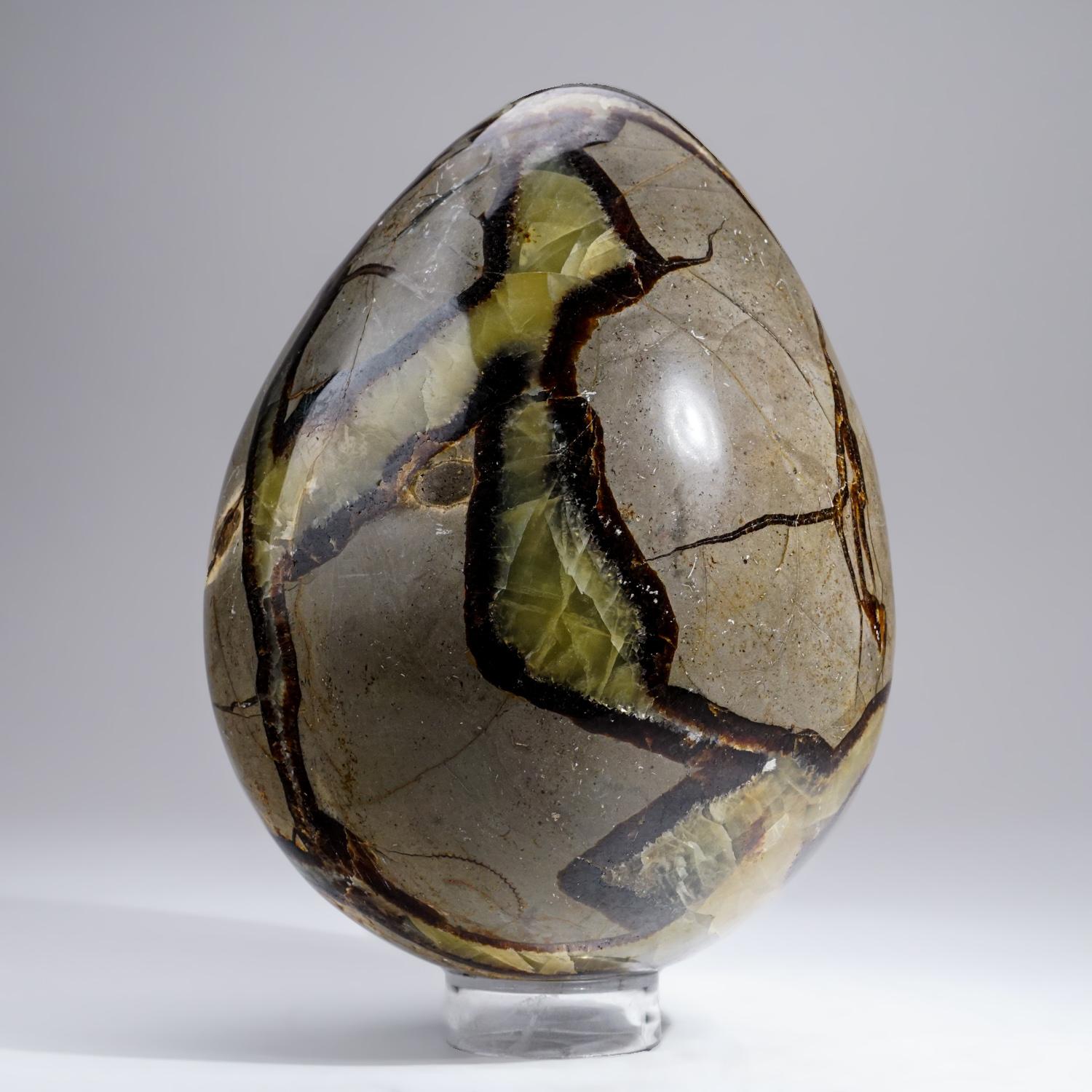 Large Polished Septarian Egg from Madagascar (10.5 lbs) In New Condition For Sale In New York, NY
