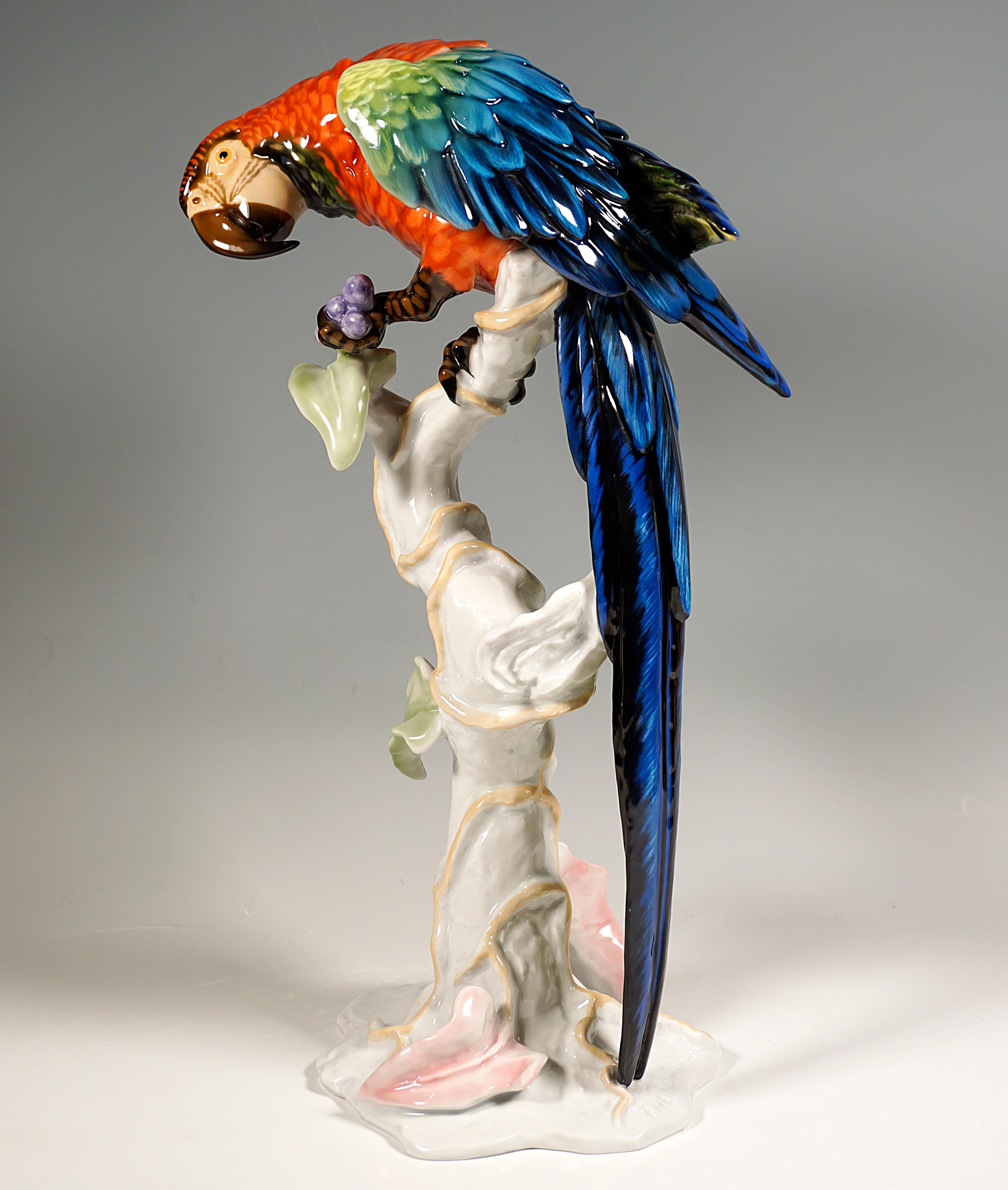 Large Porcelain Animal Figure, Macaw on a Trunk, Rosenthal Germany, Mid-20th In Excellent Condition In Vienna, AT
