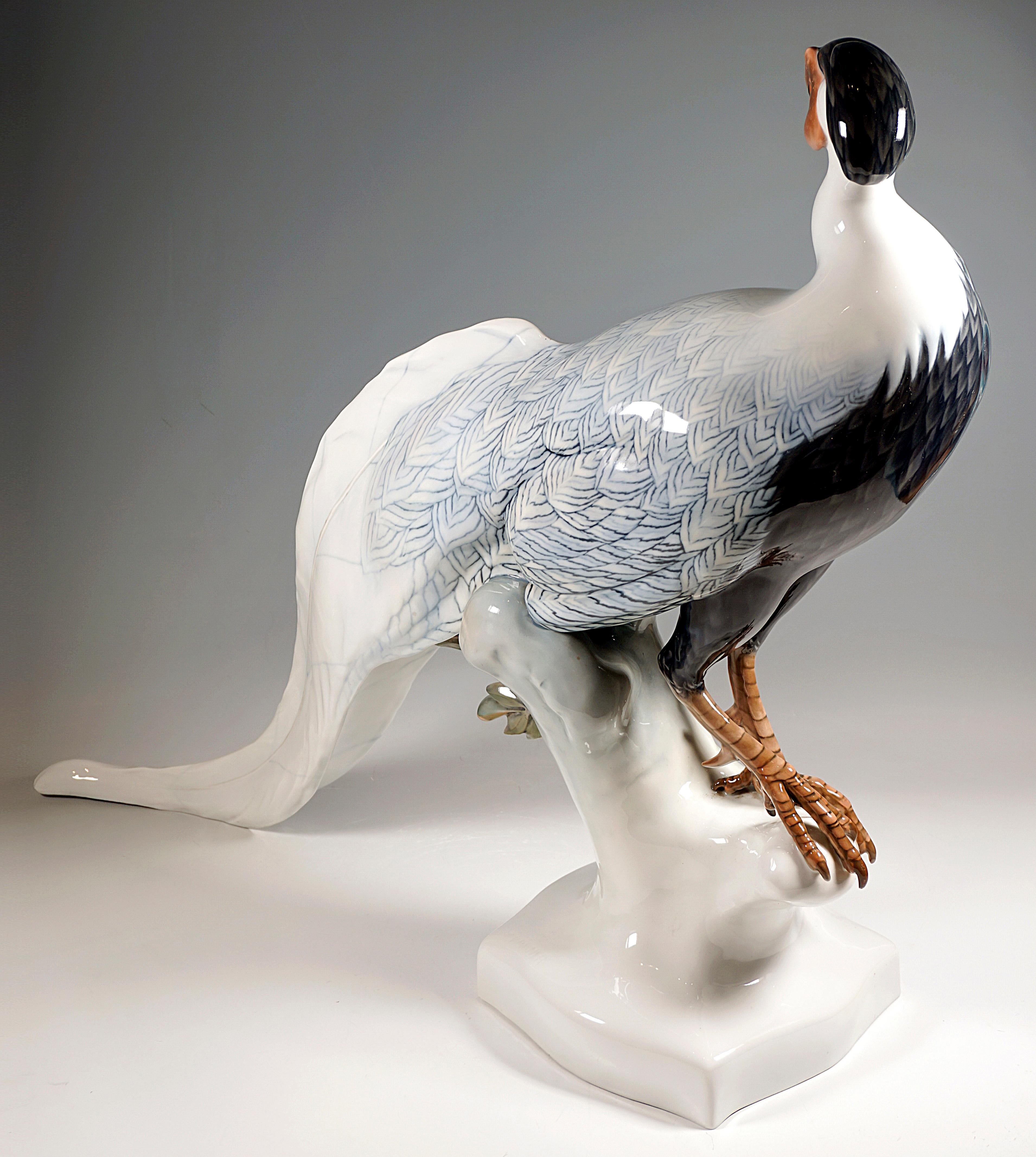 Admirable Art Déco Figurine by Rosenthal:
Large depiction of a silver pheasant sitting on a leafy branch with sparse polychrome painting, blue-grey plumage, head turned backwards.
On an irregular natural base, artist's signature 'KÄRNER' on the