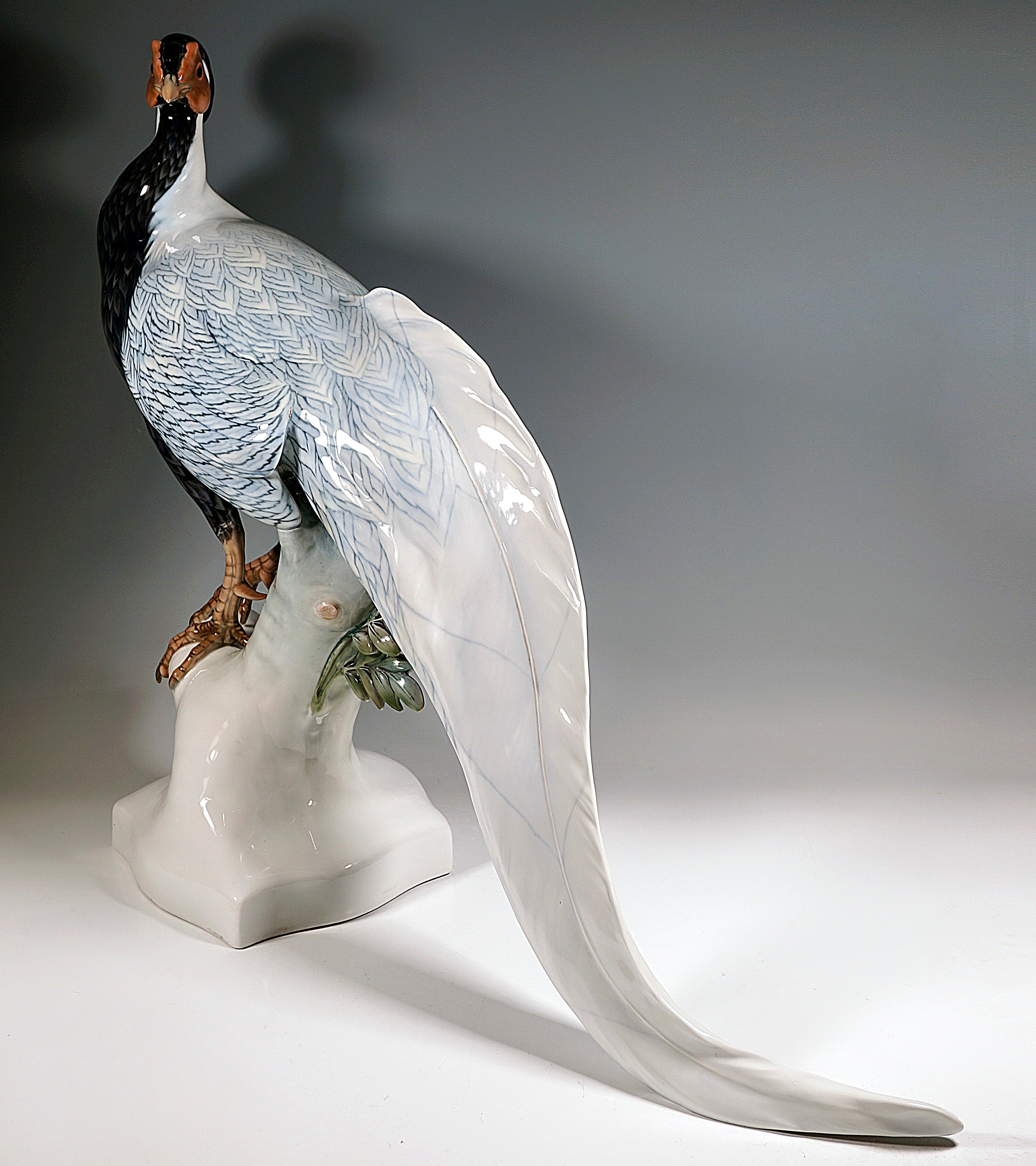 Hand-Painted Large Porcelain Animal Figure, Silver Pheasant, Rosenthal Selb Germany, C. 1923 For Sale