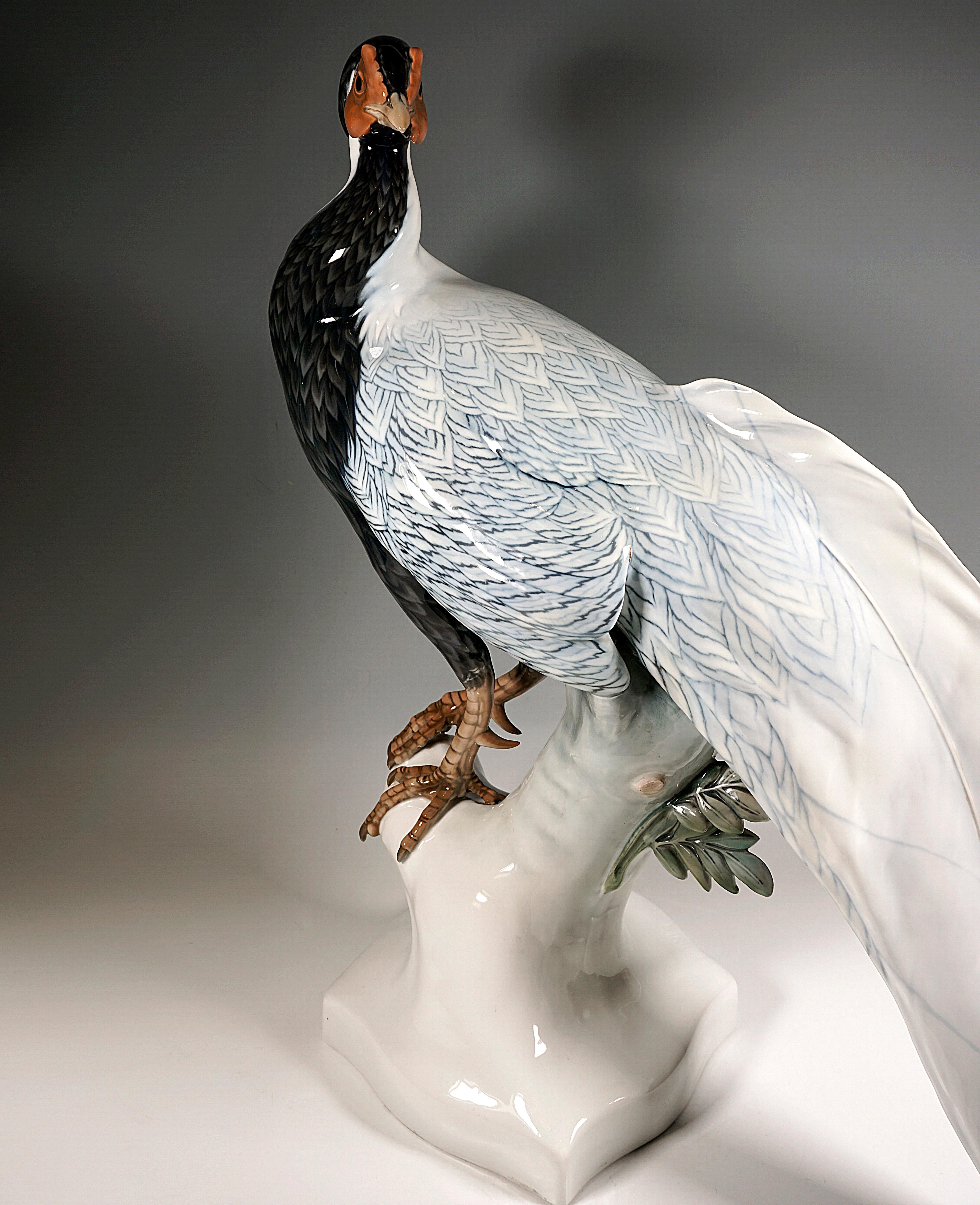 Large Porcelain Animal Figure, Silver Pheasant, Rosenthal Selb Germany, C. 1923 In Excellent Condition For Sale In Vienna, AT