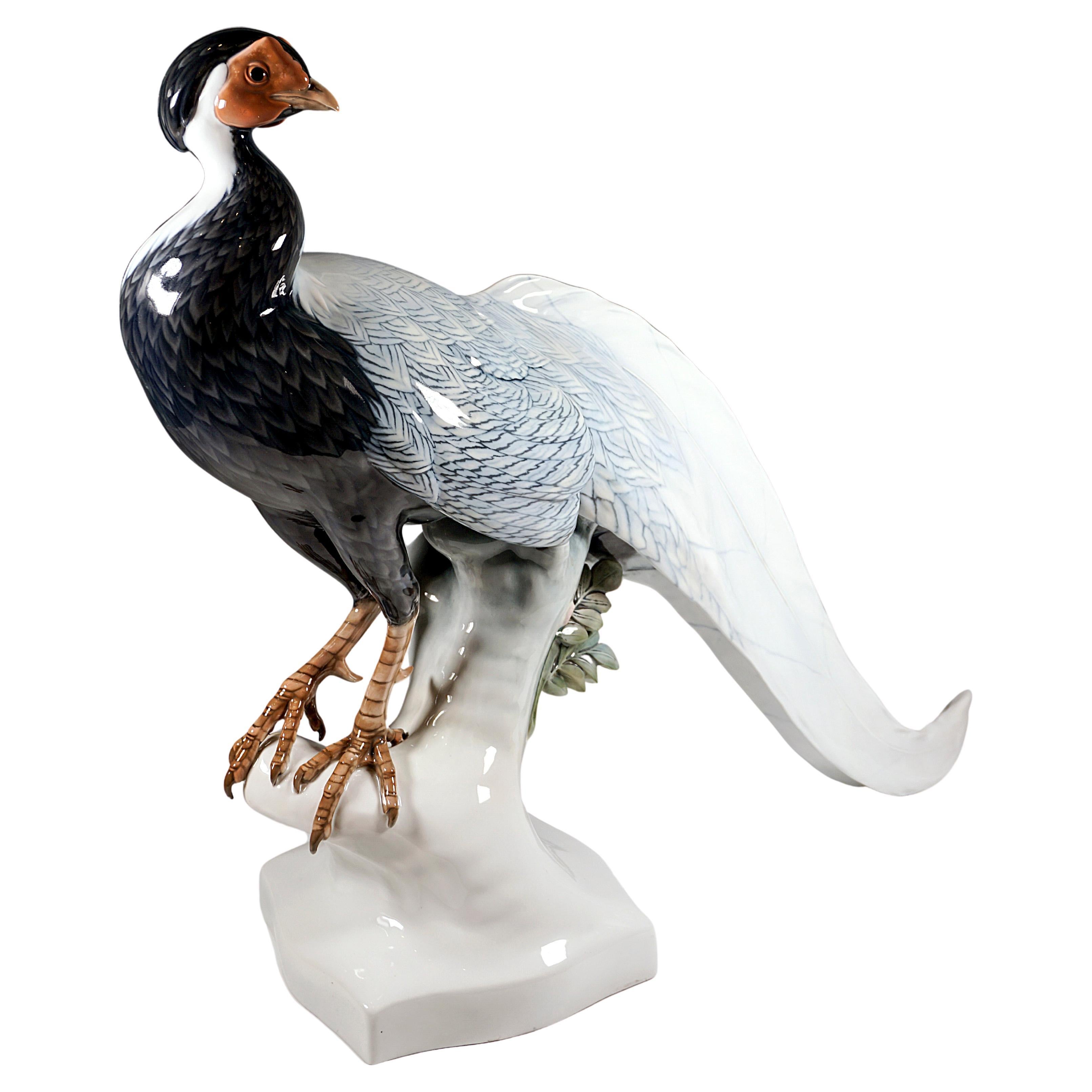 Large Porcelain Animal Figure, Silver Pheasant, Rosenthal Selb Germany, C. 1923