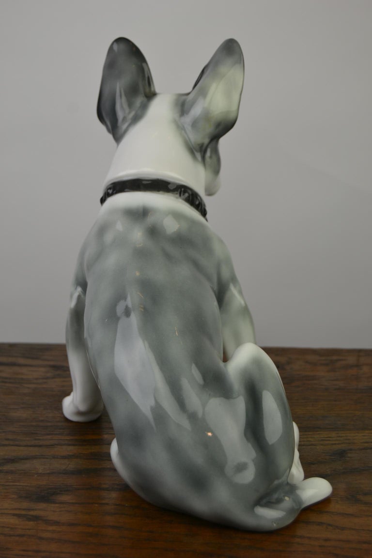 Large Porcelain French Bulldog by Pfeffer Gotha, Early 20th Century, Germany  For Sale 8