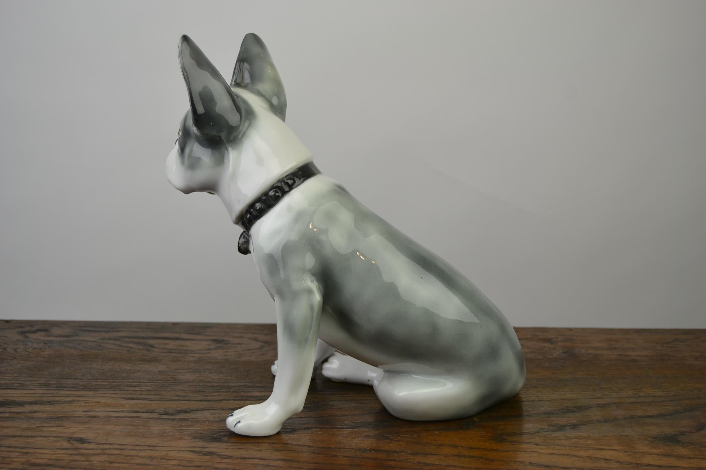 Large Porcelain French Bulldog by Pfeffer Gotha, Early 20th Century, Germany 8