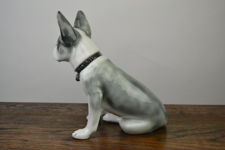 Large Porcelain French Bulldog by Pfeffer Gotha, Early 20th Century, Germany  For Sale 9
