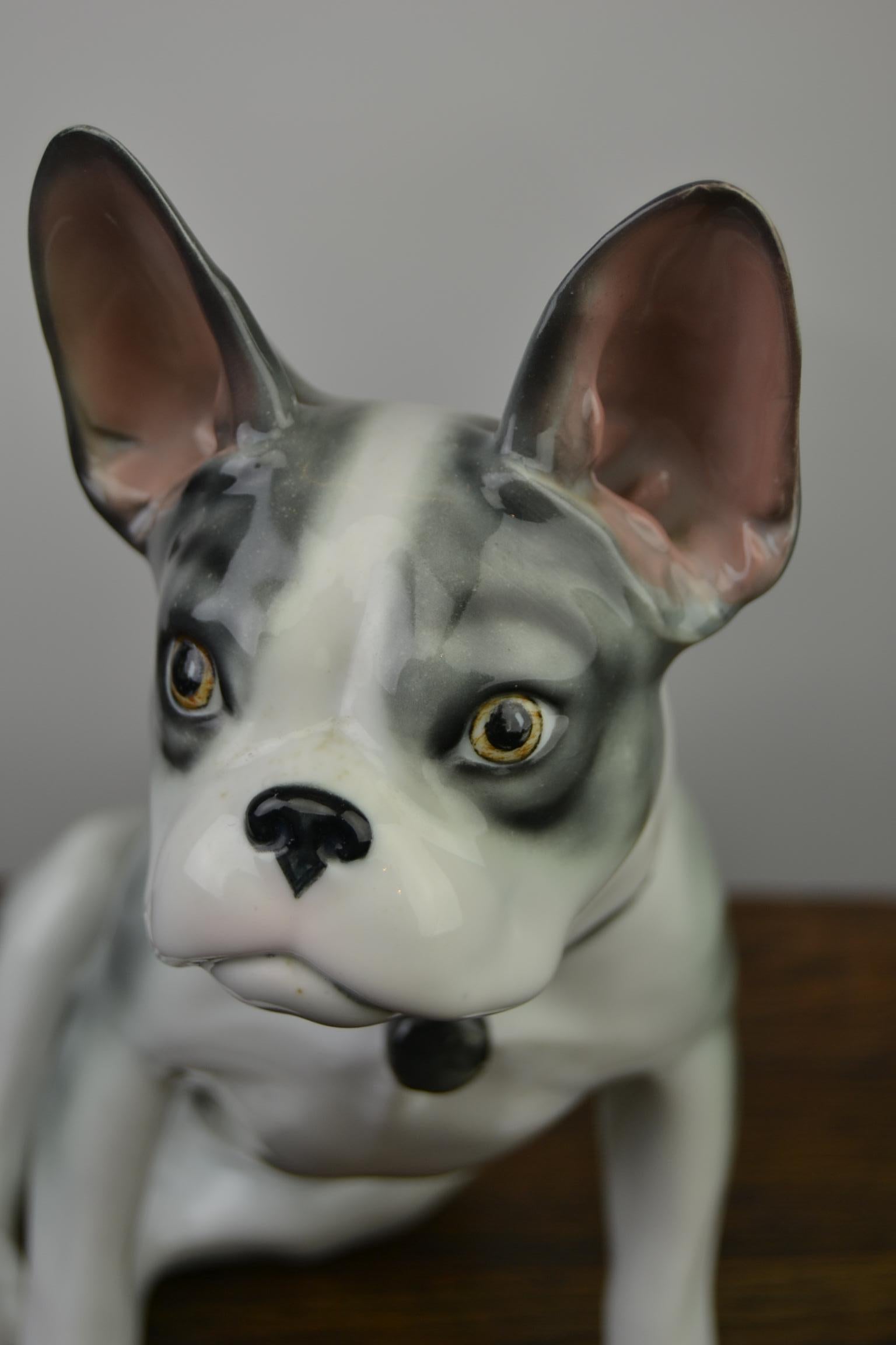 Art Deco Large Porcelain French Bulldog by Pfeffer Gotha, Early 20th Century, Germany