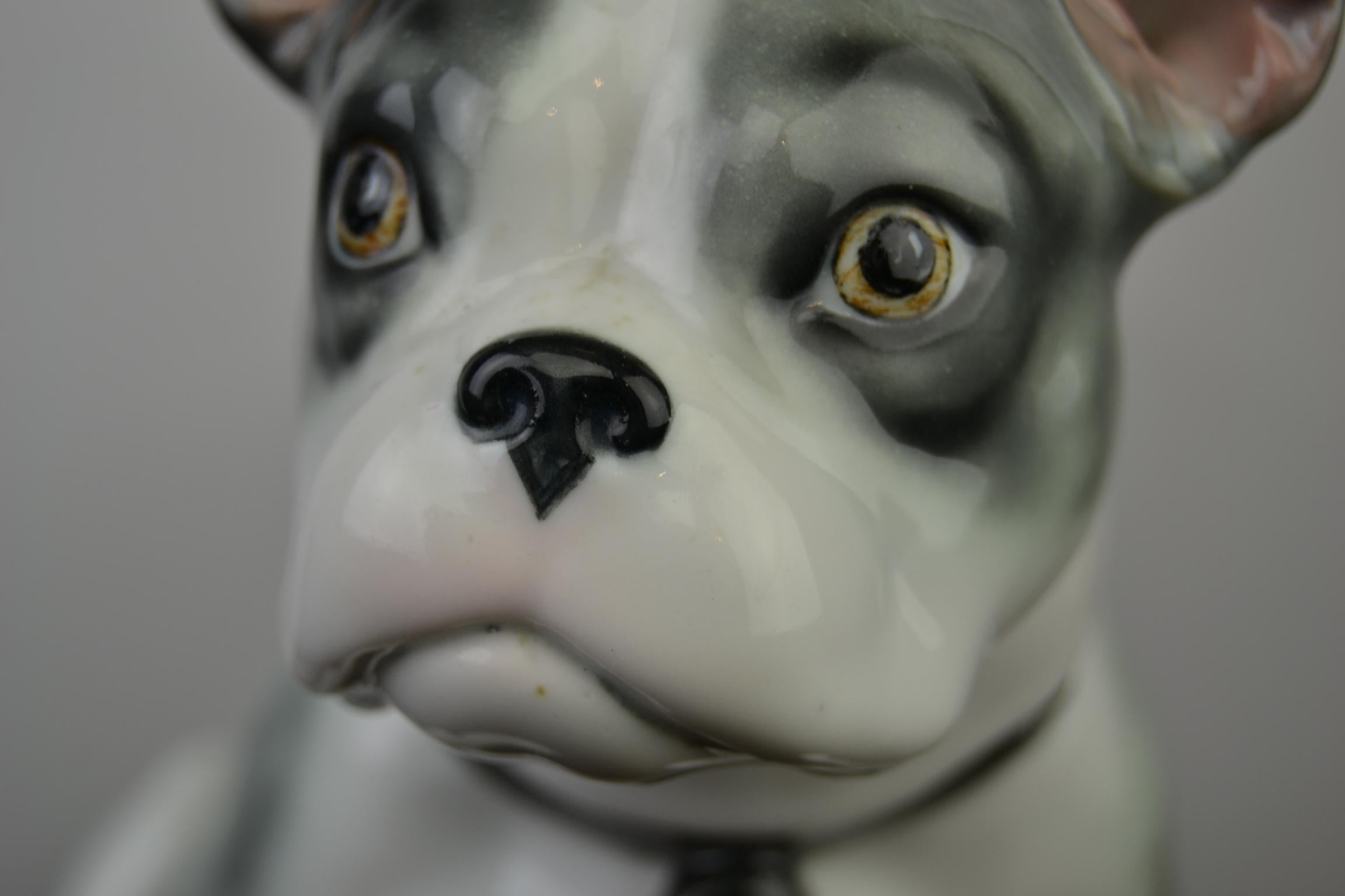 Large Porcelain French Bulldog by Pfeffer Gotha, Early 20th Century, Germany In Good Condition In Retie, BE
