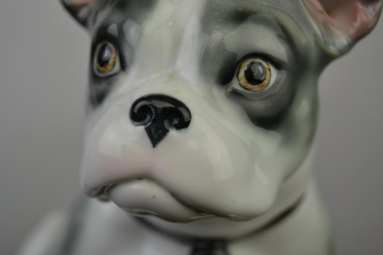 Large Porcelain French Bulldog by Pfeffer Gotha, Early 20th Century, Germany  For Sale 1