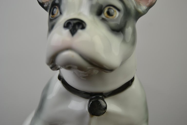 Large Porcelain French Bulldog by Pfeffer Gotha, Early 20th Century, Germany  For Sale 2