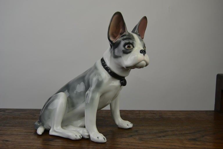 Large Porcelain French Bulldog by Pfeffer Gotha, Early 20th Century