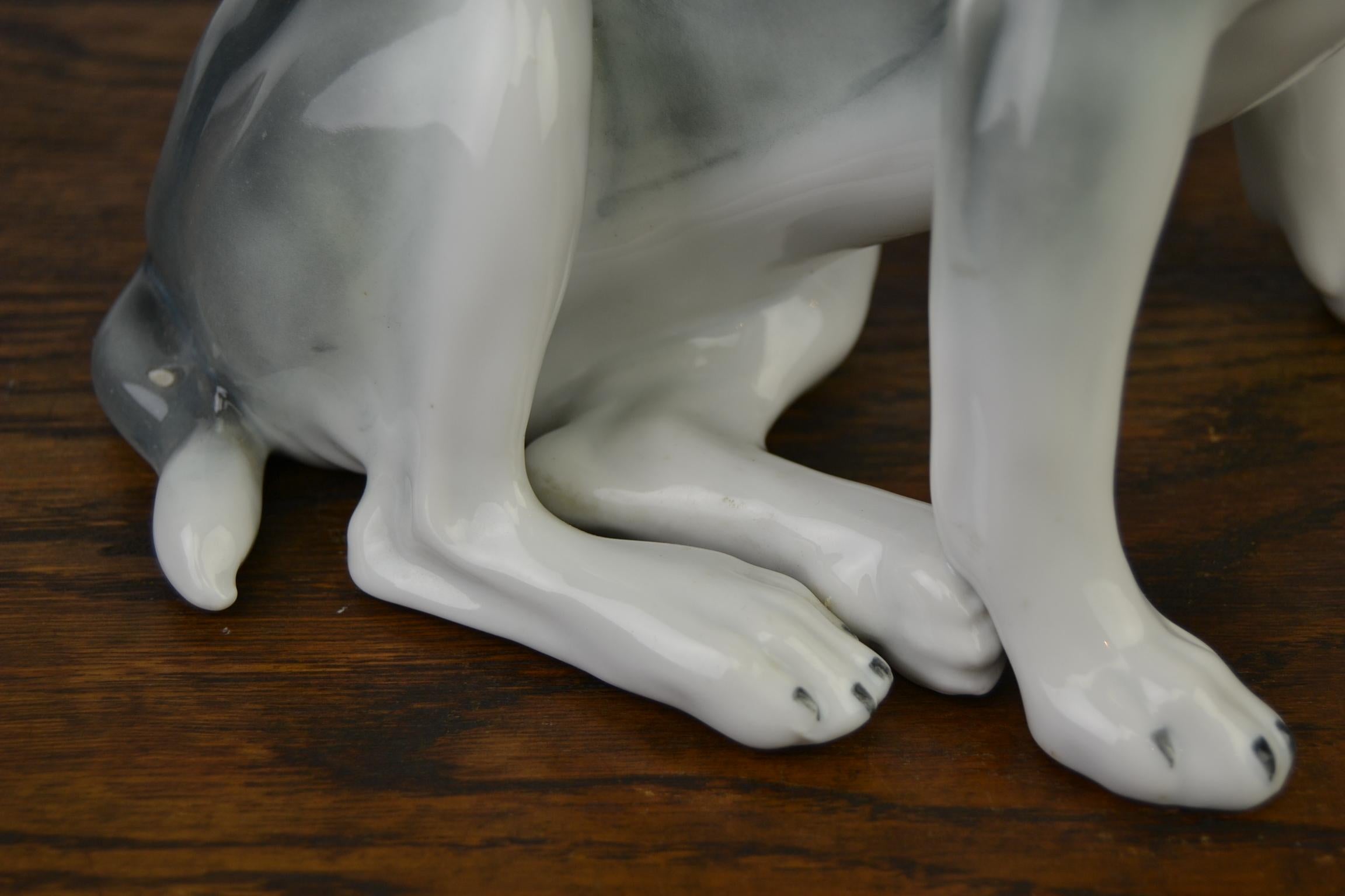 Large Porcelain French Bulldog by Pfeffer Gotha, Early 20th Century, Germany 4