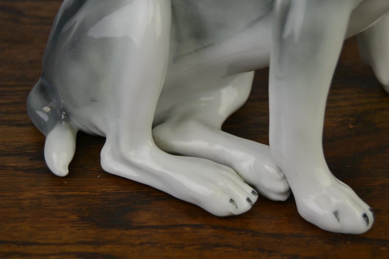 Large Porcelain French Bulldog by Pfeffer Gotha, Early 20th Century, Germany  For Sale 5