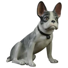Large Porcelain French Bulldog by Pfeffer Gotha, Early 20th Century, Germany