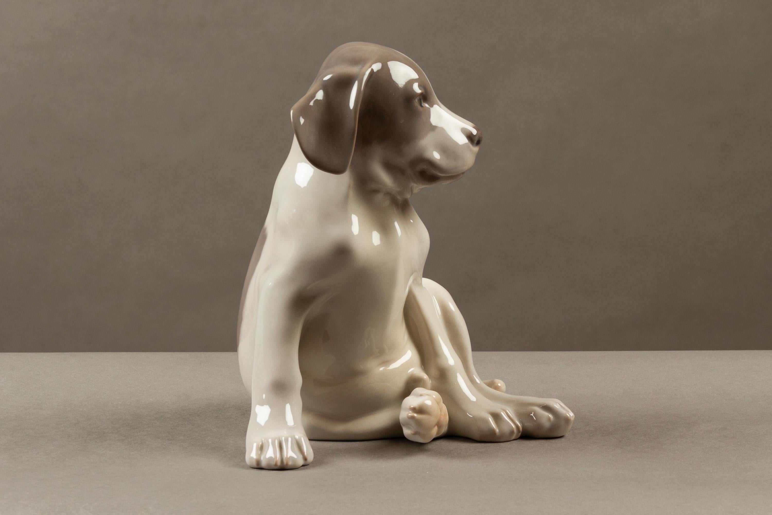 Large Porcelain Puppy 1452/259 by Erik Nielsen for Royal Copenhagen, 1952 In Good Condition In Asaa, DK