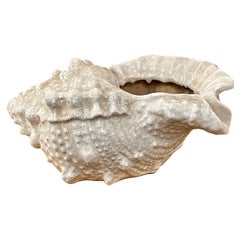 Cacharro de porcelana grande