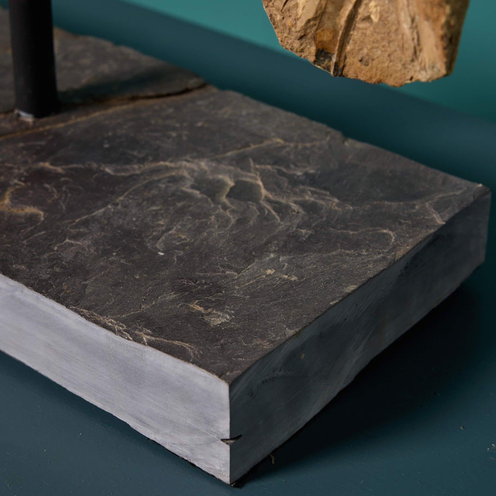 Fino al XVIII secolo Grande esemplare di pesce fossile preistorico Cladocyclus in vendita