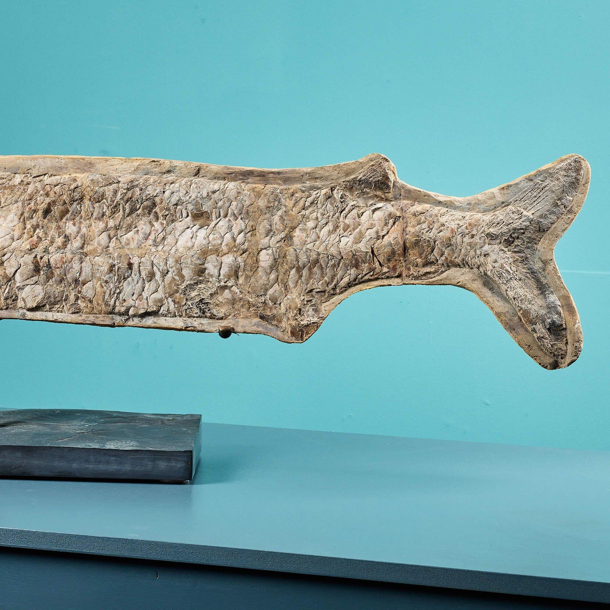 prähistorischer fisch