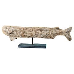 Grand spécimen de poisson fossile préhistorique Cladocyclus Gardineri