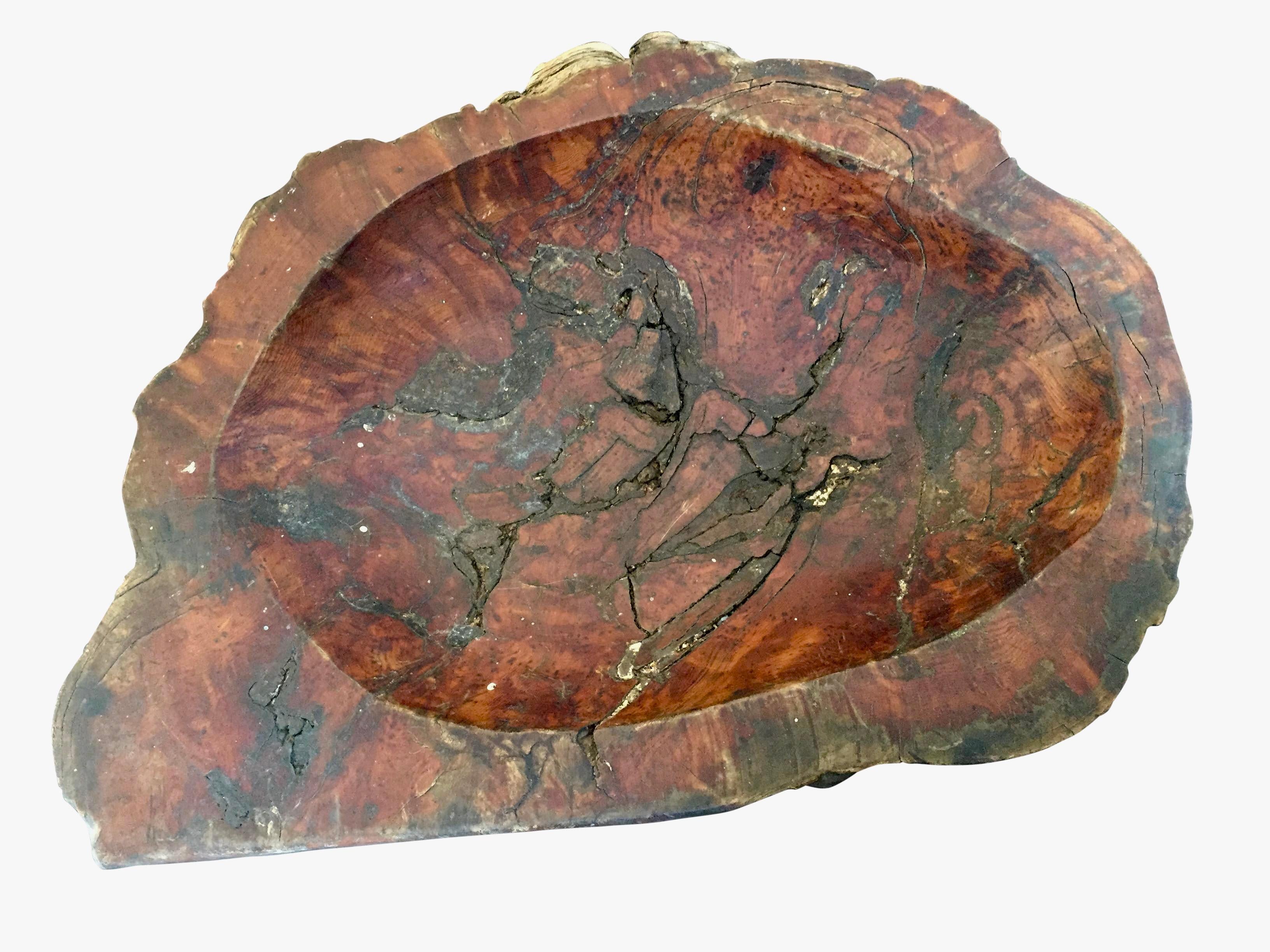 This fabulous hefty, primitive large bowl in the early stages of petrification, is hand hewn out of a single piece of wood. It most likely dates from the 1800s to early 1900s. Perfect as centre of attention.