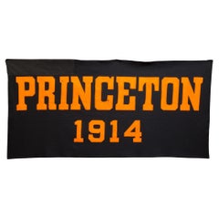 Used Large Princeton University Banner C.1914