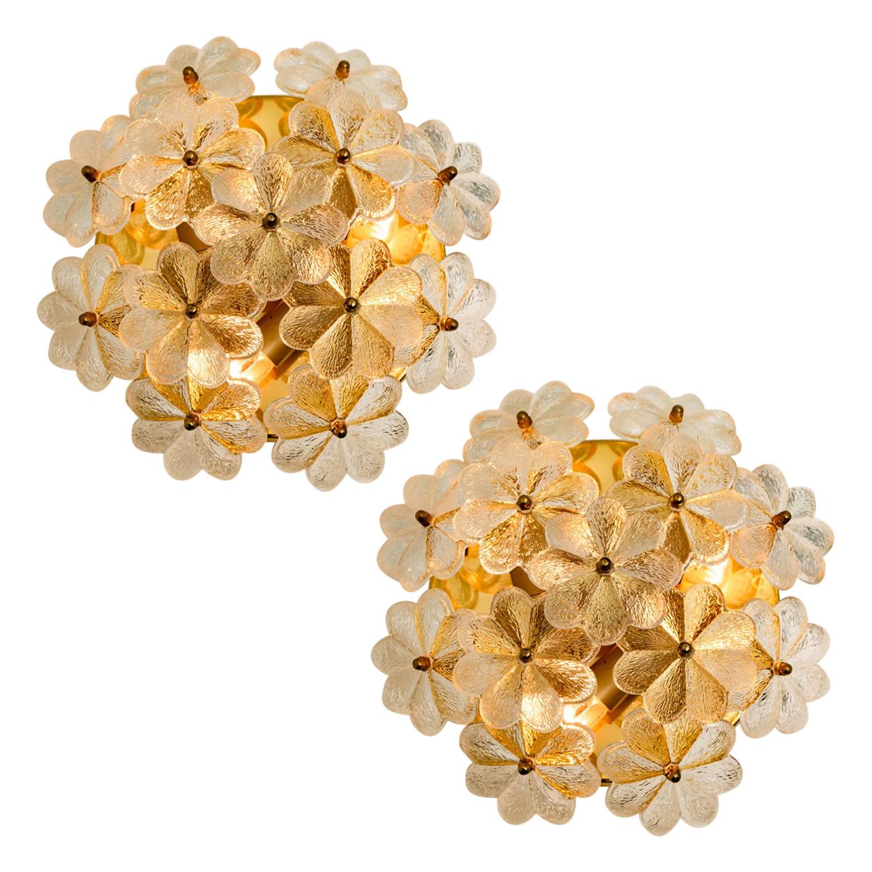 Mid-Century Modern Large Quantity of Glass and Brass Floral Wall Lights from Ernst Palme, 1970s For Sale