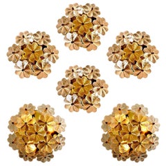 Large Quantity of Glass and Brass Floral Wall Lights from Ernst Palme, 1970s