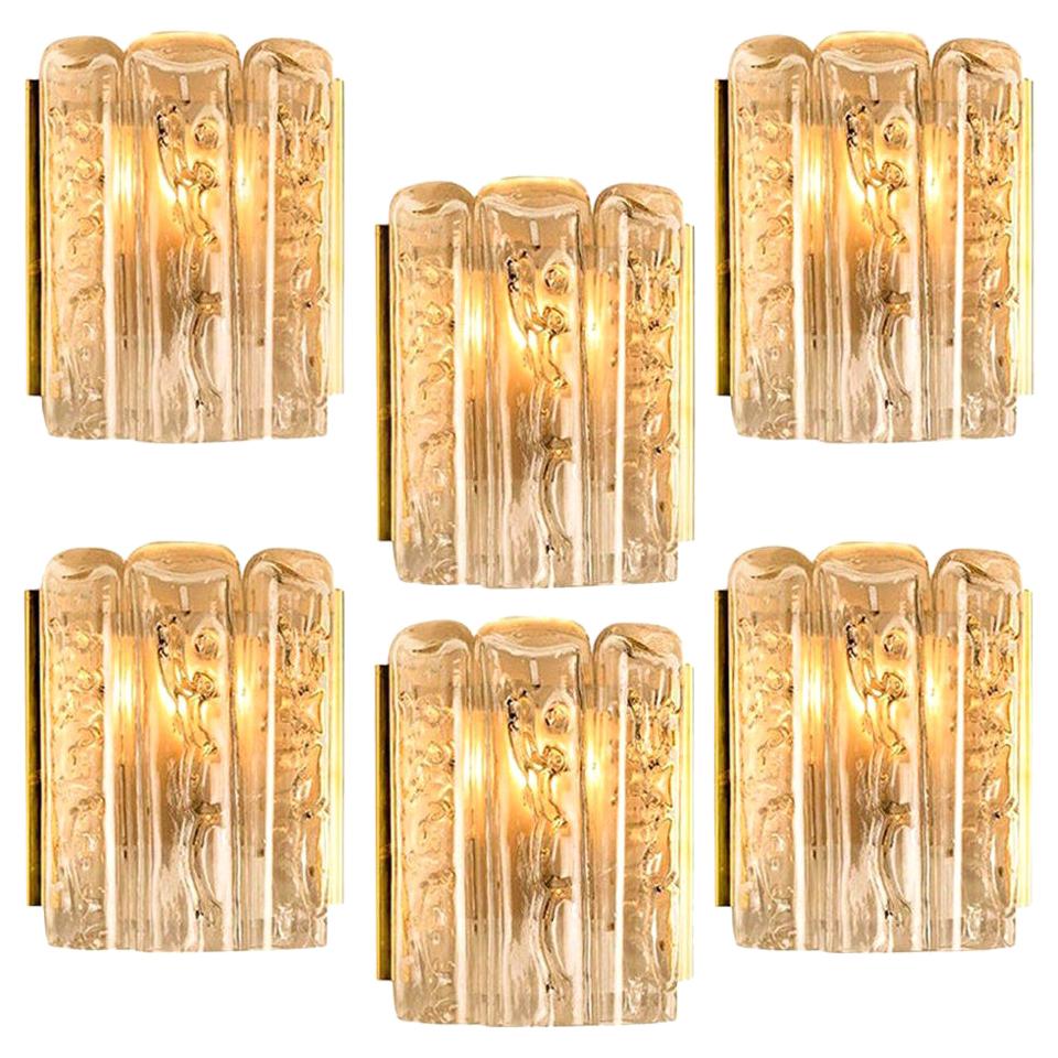 Large Quantity of Structured Blown Glass and Brass Wall Sconces by Doria, 1960