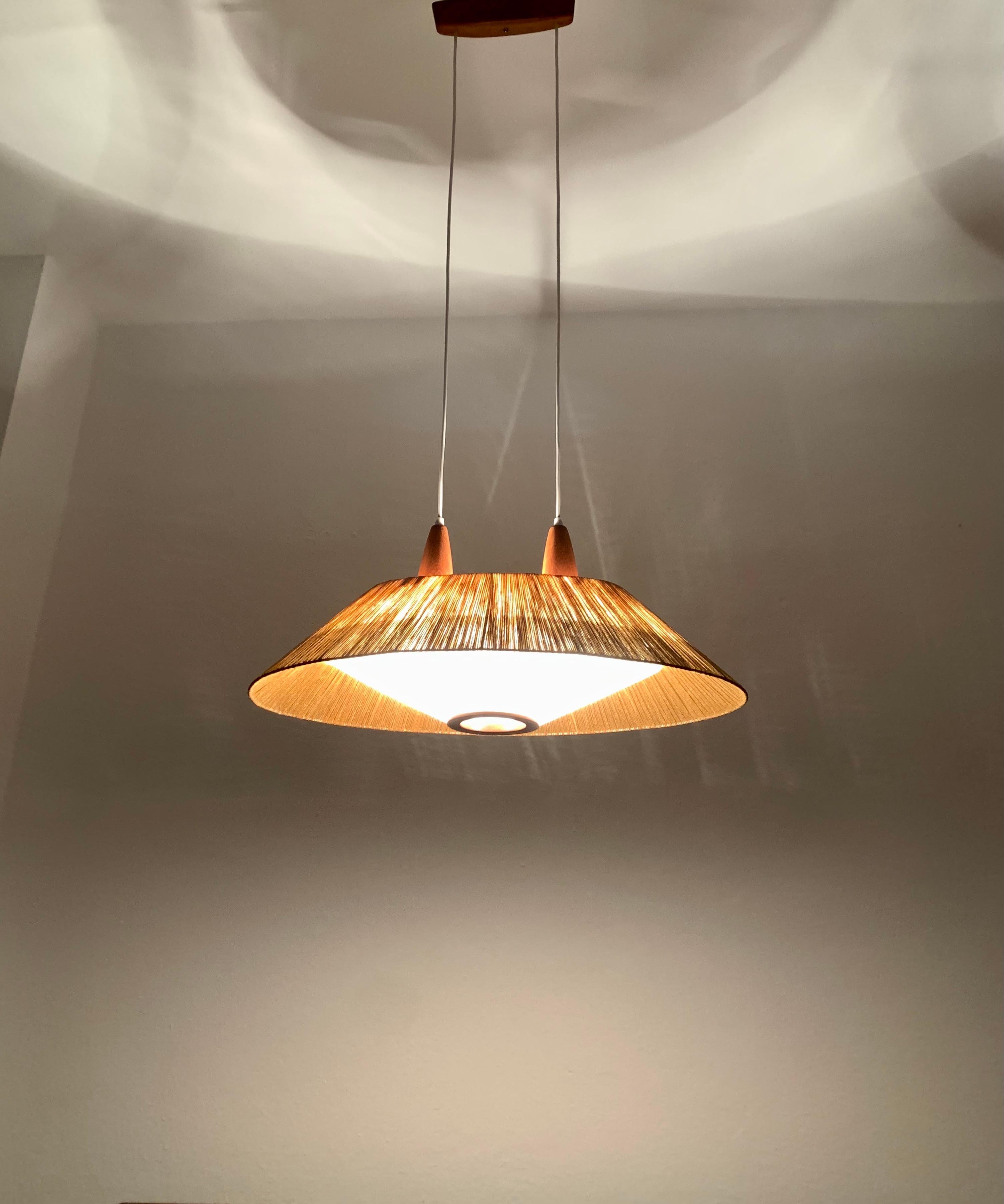 Large Raffia Bast and Teak Pendant Lamp from Temde In Good Condition For Sale In München, DE