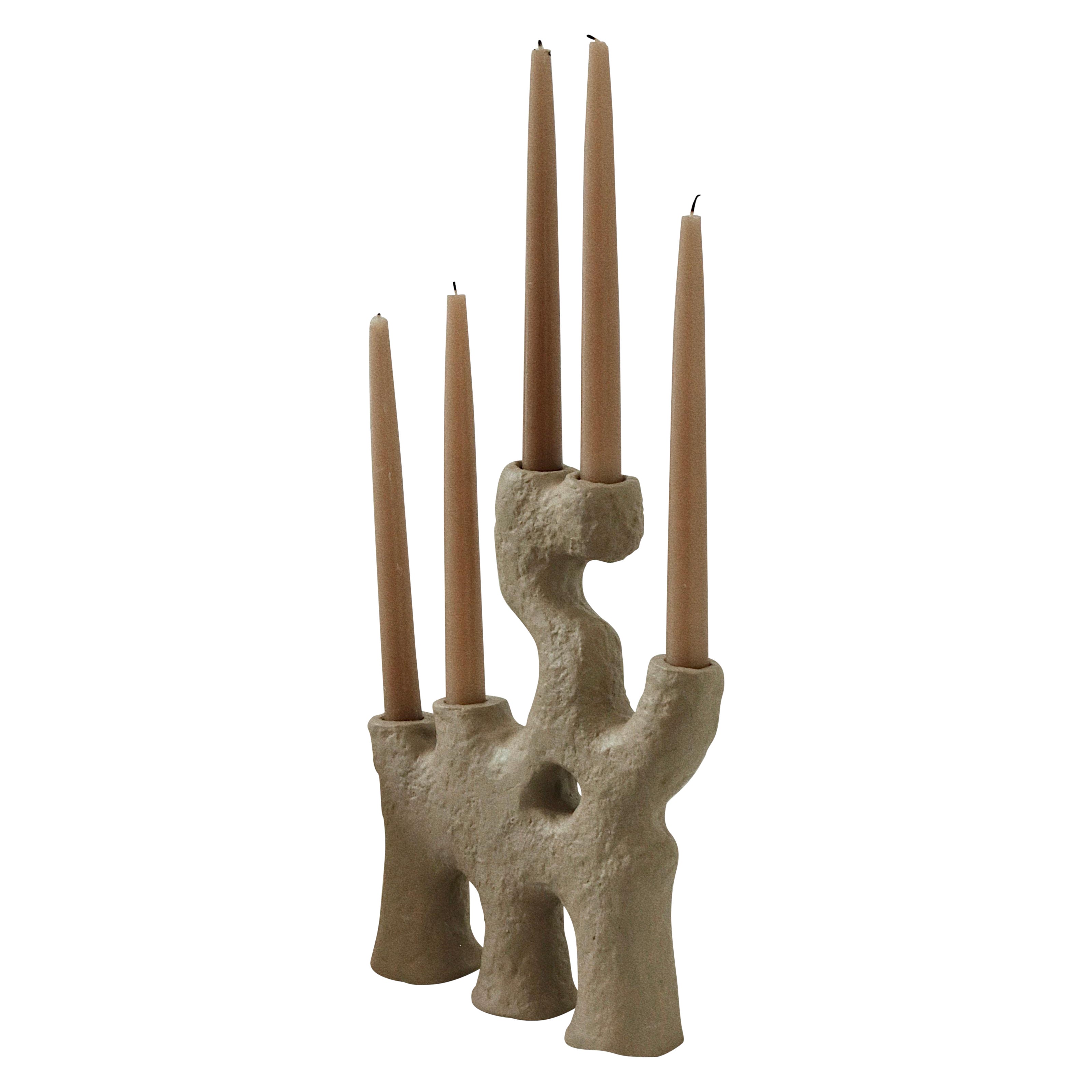 Large Raíz Candlestick by Ana Tron