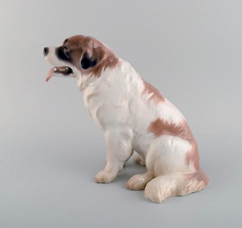 Large rare Bing & Grondahl porcelain figure. St. Bernard dog. Model number 1916, 1920s.
Measures: 28 x 25 cm.
In excellent condition.
Stamped.
1st factory quality.
   