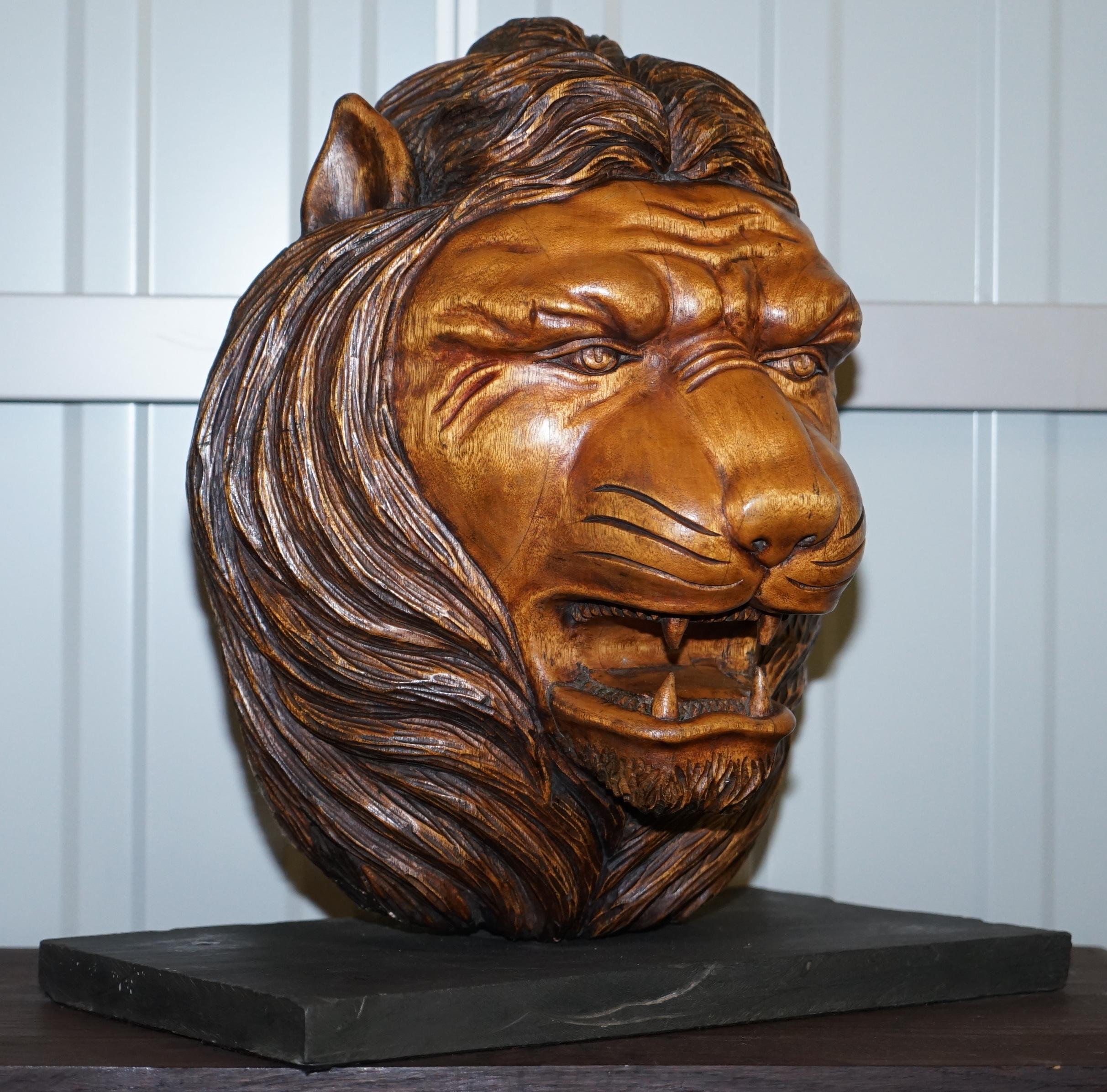Siamo lieti di offrire in vendita questa splendida criniera di leone in legno massiccio intagliata a mano, molto grande e decorativa, montata su una base di marmo.

Un'opera d'arte decorativa di ottima fattura. La testa di leone è scolpita in