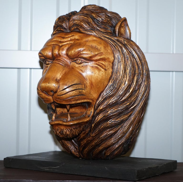 Large Rare Hand Carved Lions Mane Bust Head in Wood with Solid Marble