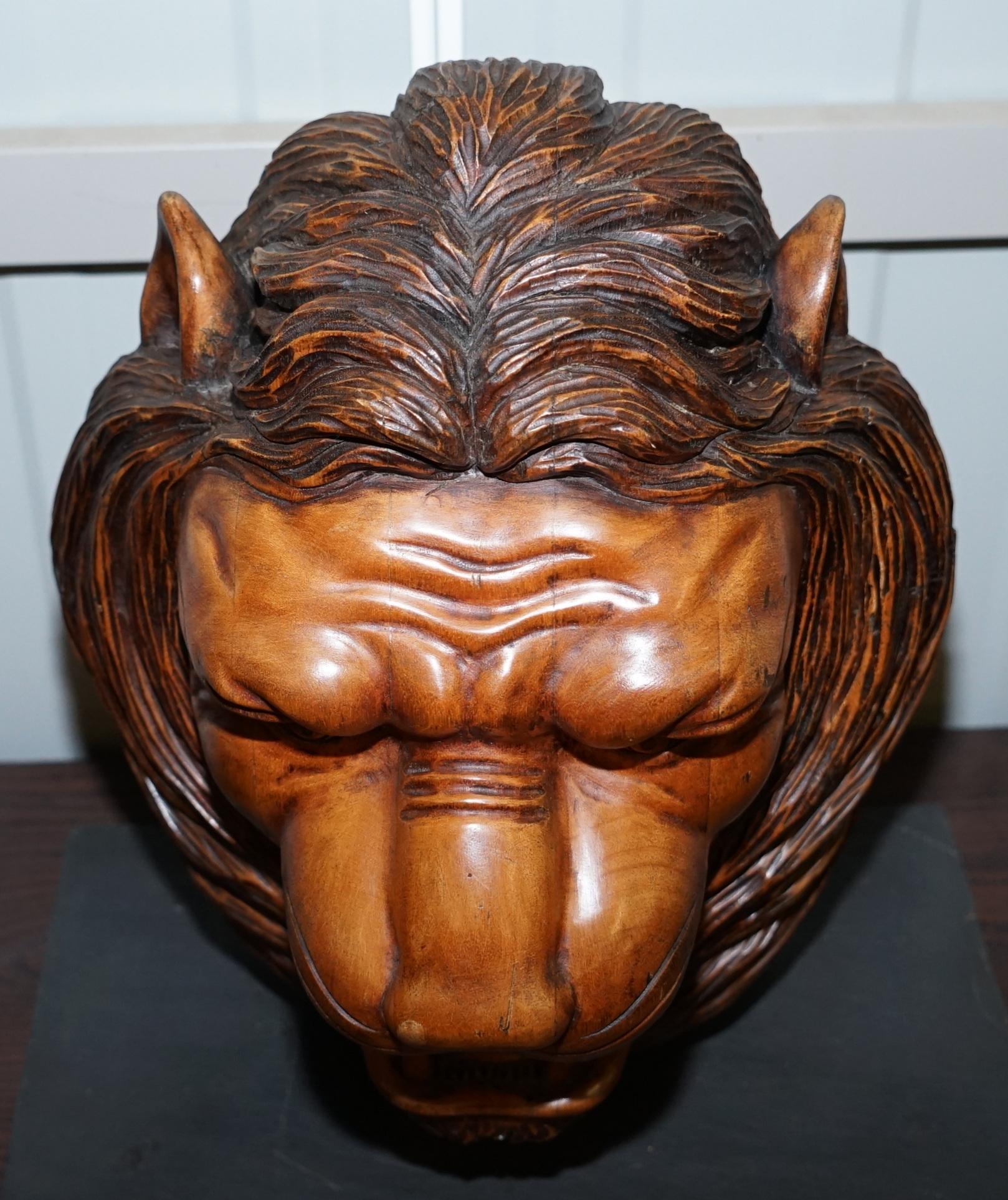 Hand-Crafted Large Rare Hand Carved Lions Mane Bust Head in Wood with Solid Marble Base For Sale