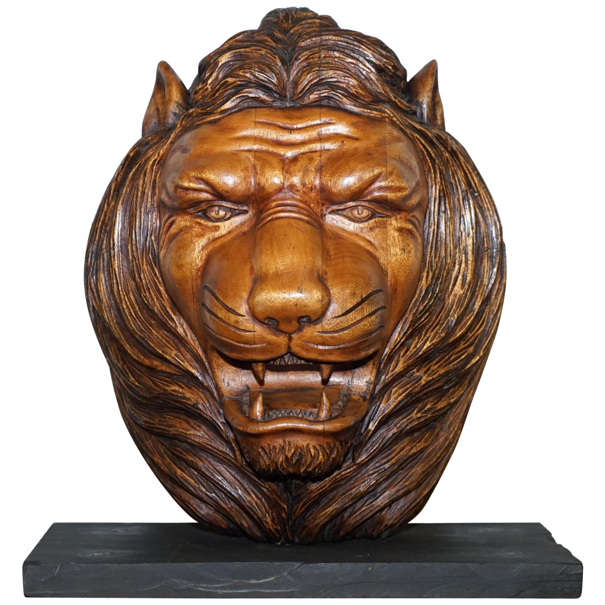 Grande et rare tête de buste de lion en bois sculptée à la main avec base en marbre massif