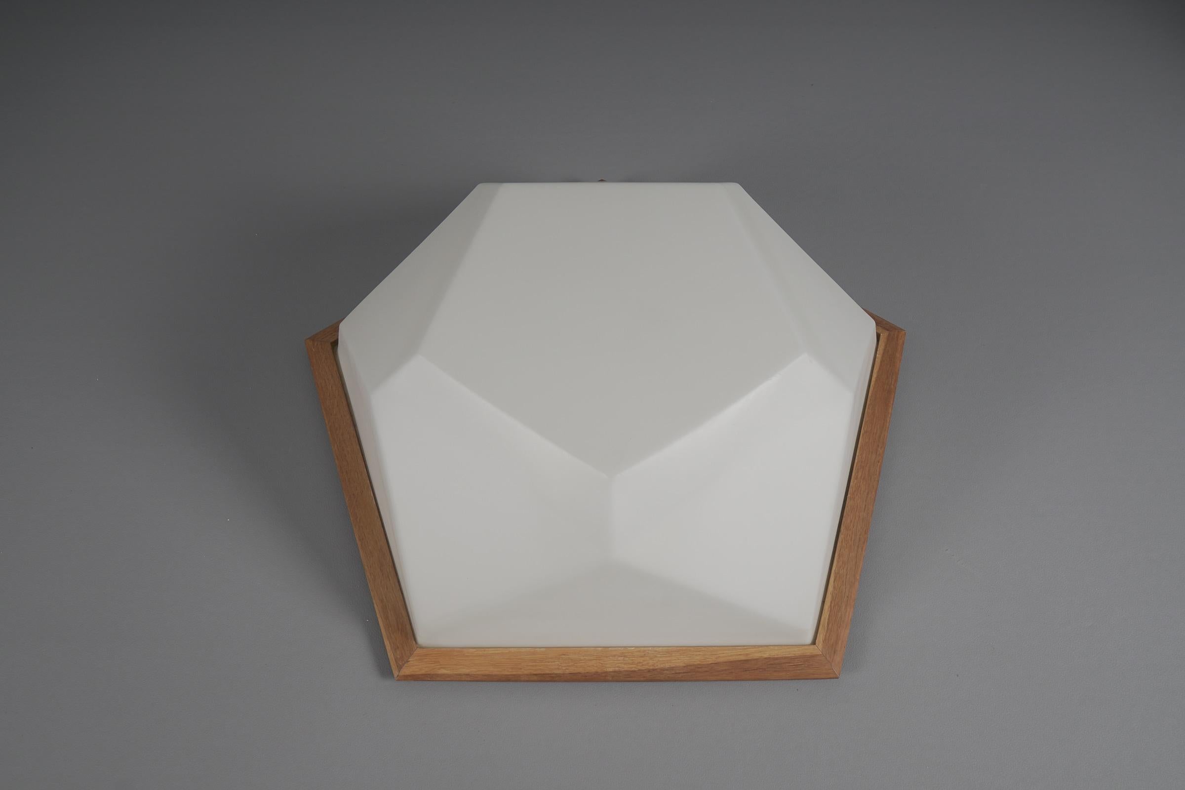 Large Rare Rudolf Steiner School Anthroposophical Ceiling or Wall Fixture 1960s For Sale 6