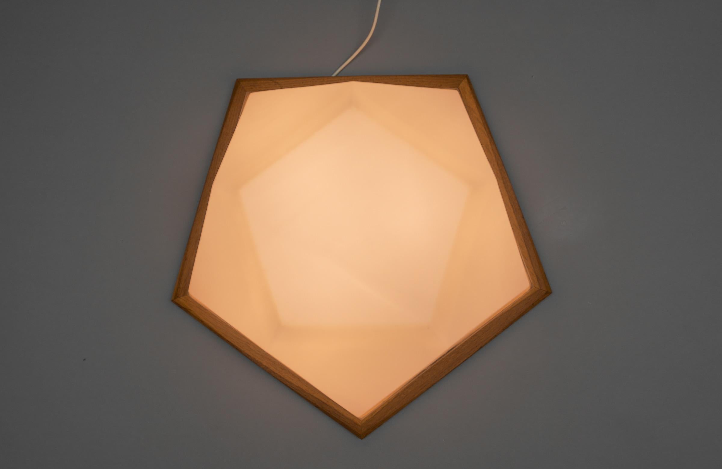 Swiss Large Rare Rudolf Steiner School Anthroposophical Ceiling or Wall Fixture 1960s For Sale