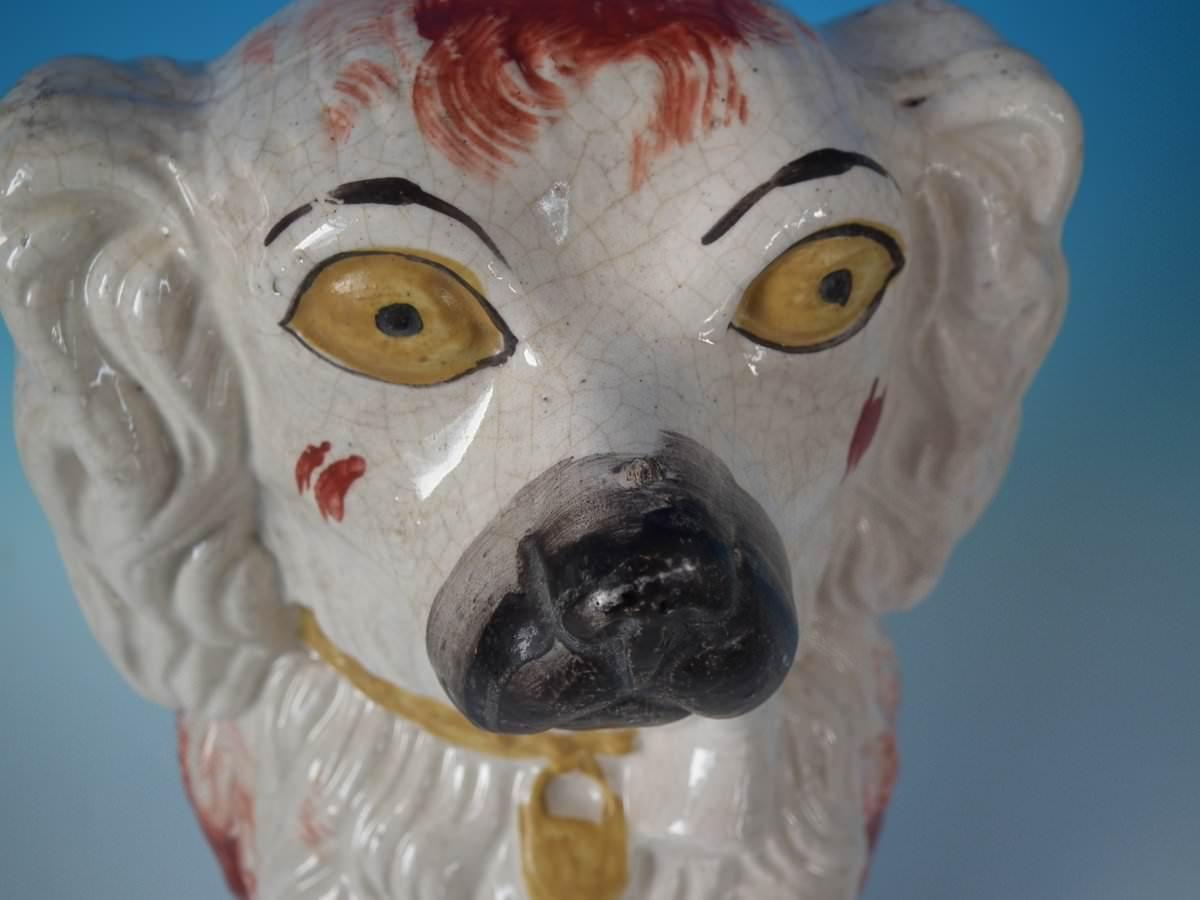 Large Rare Staffordshire Begging Spaniel Smoking a Pipe 5