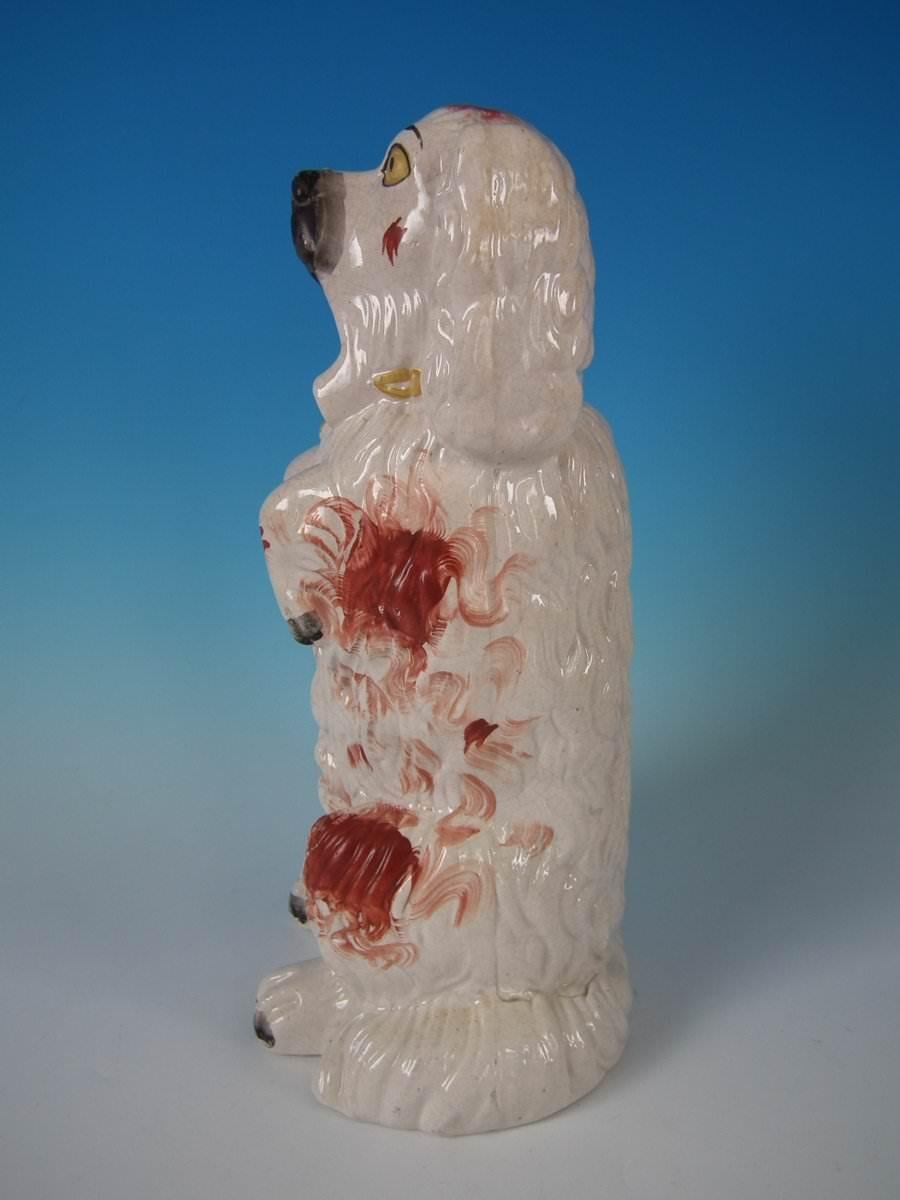 Victorian Large Rare Staffordshire Begging Spaniel Smoking a Pipe