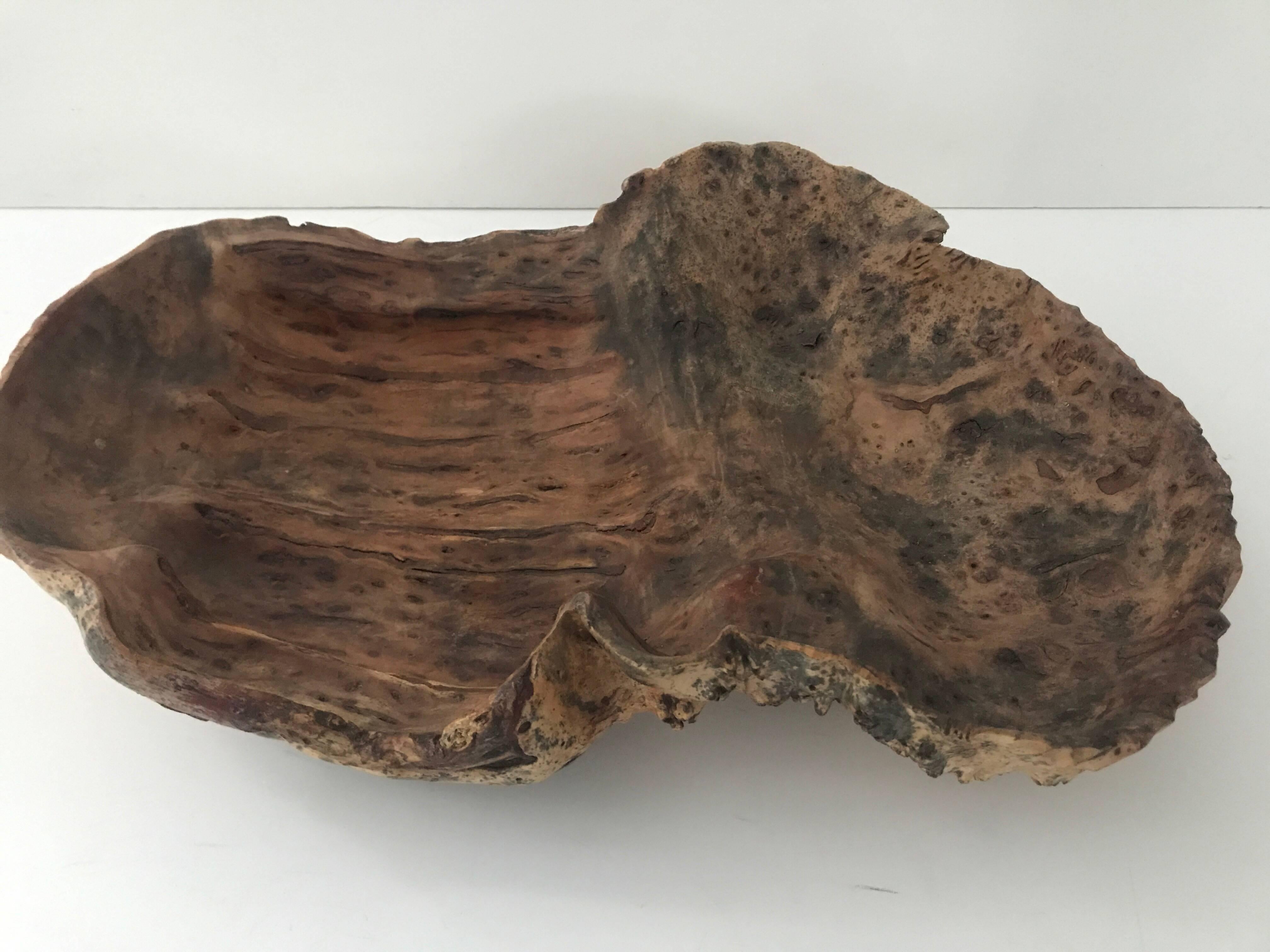 Large Swedish Northern hand-carved birch burl bowl.
A very beautiful hand-carved birch bowl, most likely made by the Sami people in northern Sweden. This bowl is very large and have a beautiful patina. It has been made with great artistic skill.